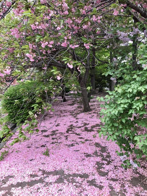 ゲストハウス オン マイ ウェイ 札幌市 エクステリア 写真