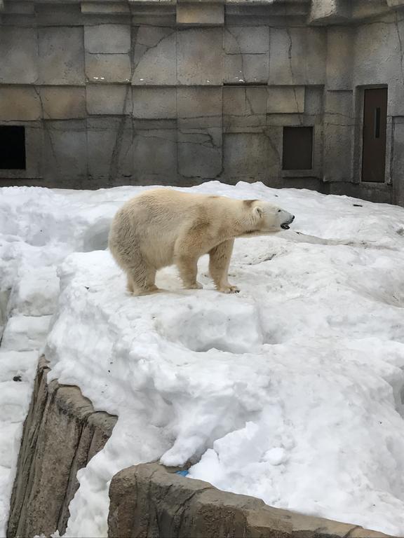 ゲストハウス オン マイ ウェイ 札幌市 エクステリア 写真
